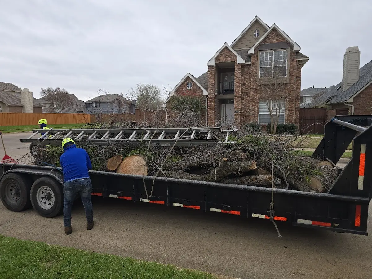 Expert Lot Clearing with proper safety equipment in Caddo Mills